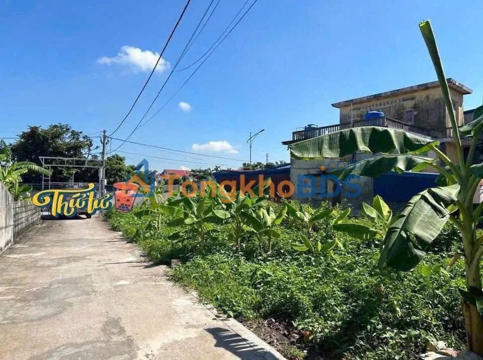 Đất nền Tân Minh Tiên Lãng 85m² - Sổ đỏ chính chủ