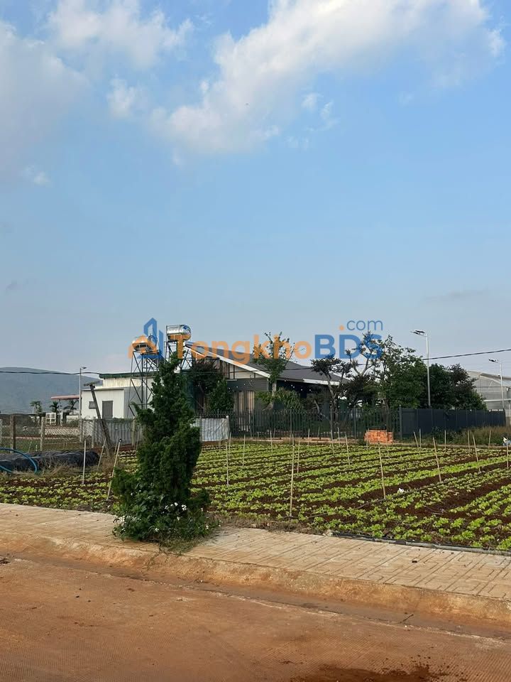 Đất nền Đạ Ròn Đơn Dương 200m² 1,1 tỷ - Sổ đỏ chính chủ