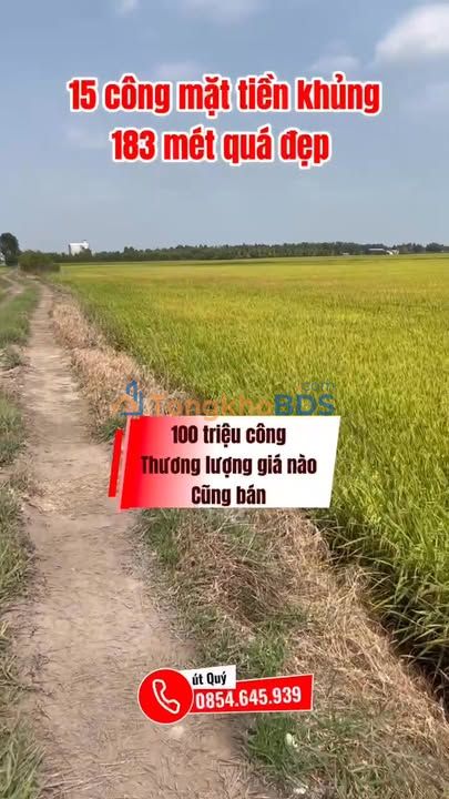 Đất vườn Bình Hòa Tây 15.000m² giá 1.5 tỷ - Sinh thái xanh