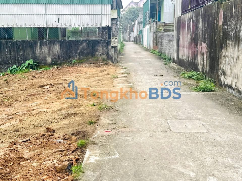 Đất nền QL15 Đô Lương 117m² 1,1 tỷ - Đường to ô tô
