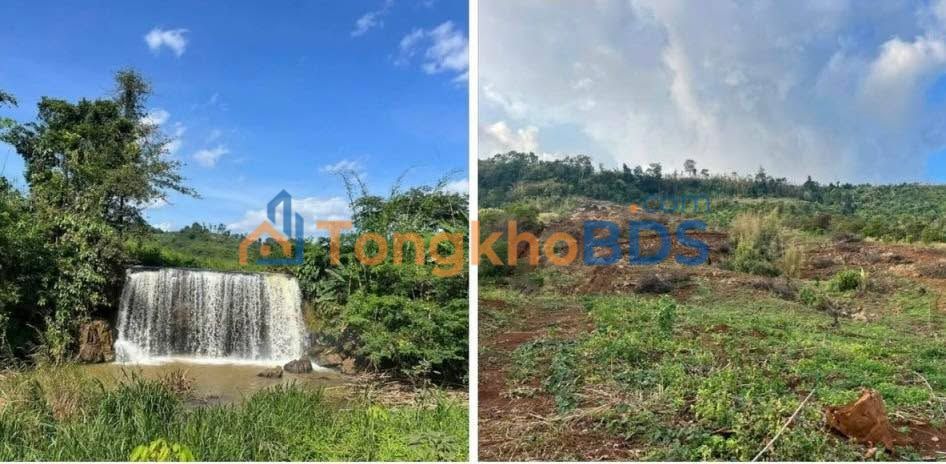 Đất nền Đắk Ngo Tuy Đức 2ha giá 1,2 tỷ Pháp lý rõ ràng