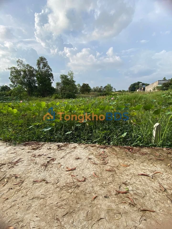 Đất nền La Gi 130m² 500 triệu – Đất thổ cư 100% hẻm ô tô