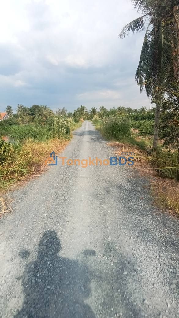 Đất vườn Bình Đức Bến Lức 500m² 600 triệu - Thổ cư 100%