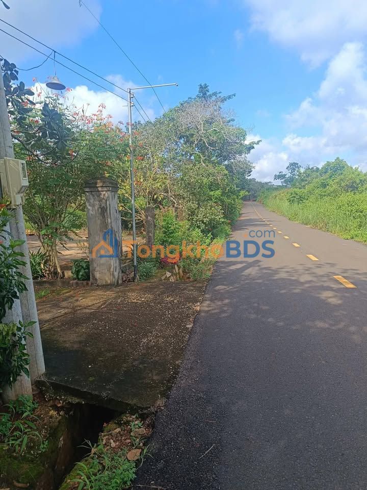 Đất nền Bàu Lâm Xuyên Mộc 2.5k m² 2.05 tỷ - Sổ đỏ chính chủ