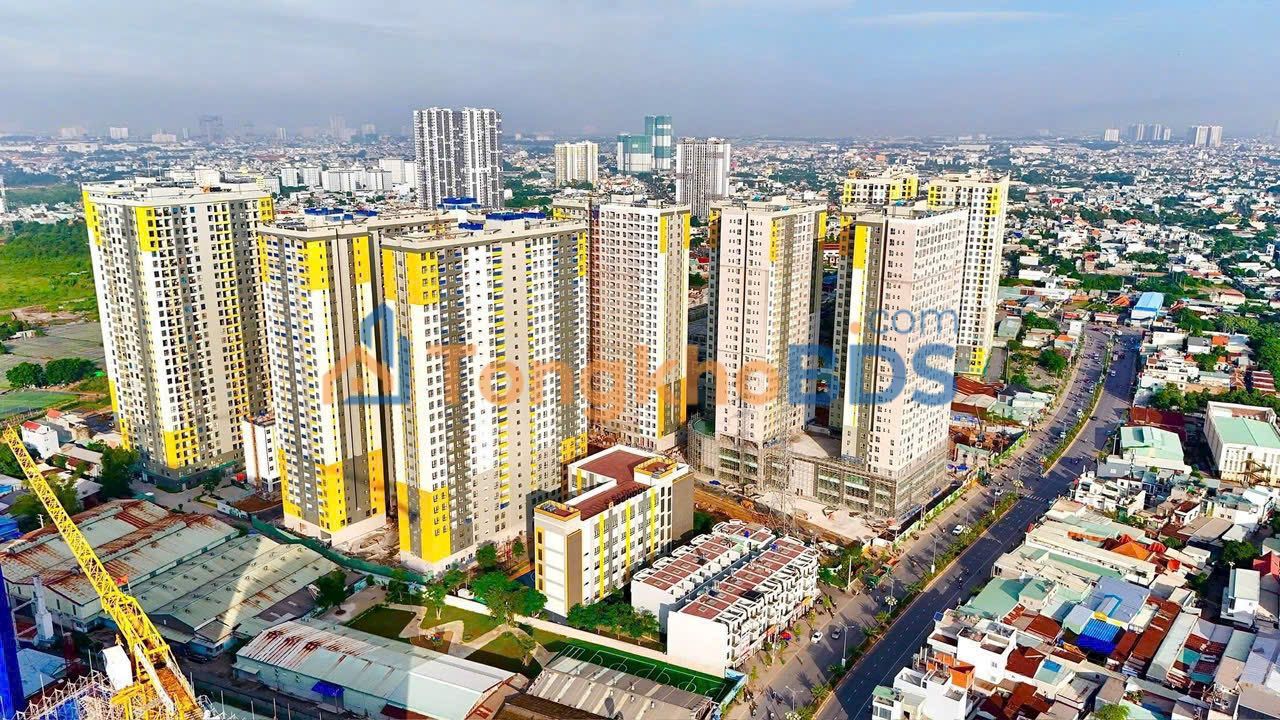 Đất nền Dĩ An Thống Nhất 100m²/8 tỷ - Sổ đỏ chính chủ