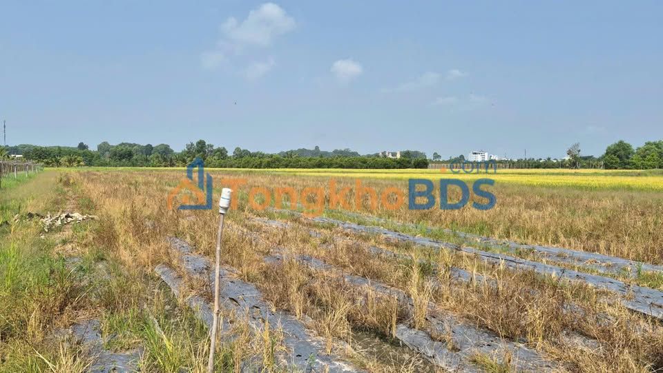 Đất Tây Ninh Bàu Năng 2 công 1.62 tỷ - Đầu tư dài hạn