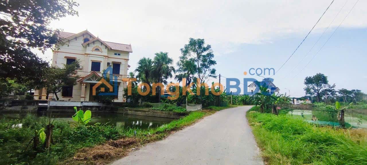 Đất nền Tân Phong 709m² 1,95 tỷ - Sổ đỏ chính chủ