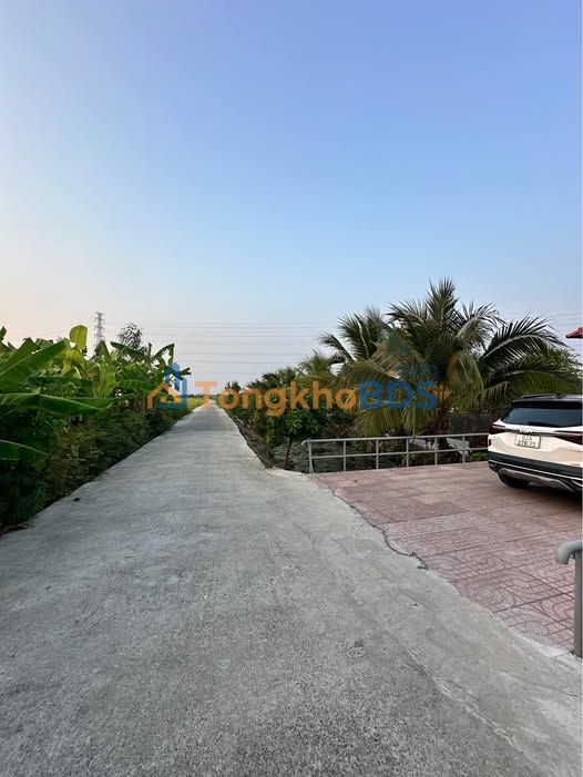 Đất vườn Phường 5 Tân An 1.202m² 2,12 tỷ - Đường lớn ô tô