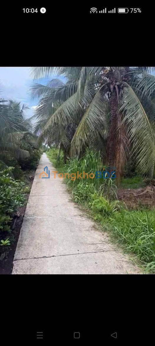 Đất nền An Vĩnh Ngãi 1.000m² 980 triệu - Sổ đỏ chính chủ