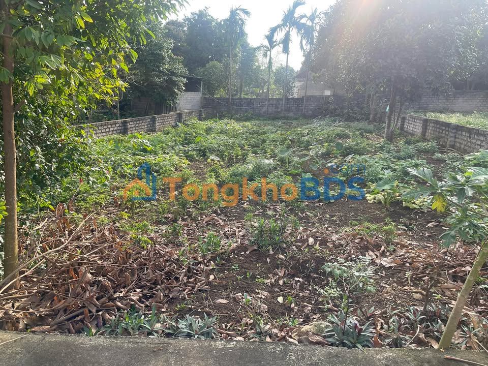 Đất vườn Tản Lĩnh Ba Vì 360m², 2 tỷ - Sổ hồng rõ ràng