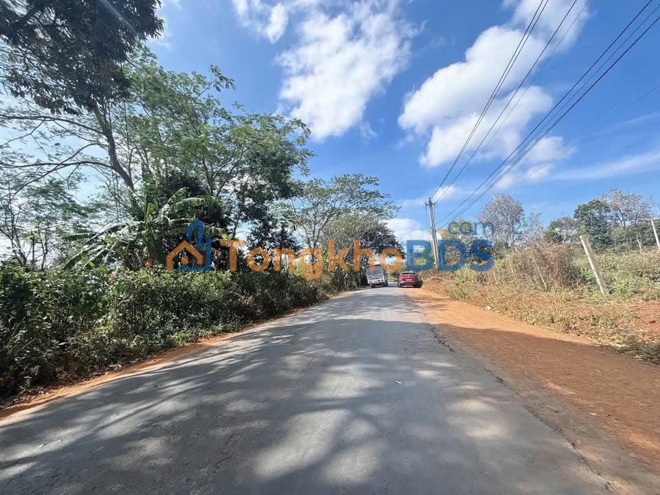 Đất Buôn Ma Thuột 1692m² giá 6 tỷ - Tiềm năng tăng giá