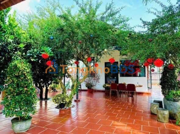 Bán Nhà Sân Vườn Đẹp P2 Bảo Lộc - 231m² Nở Hậu, Giá 4.75 Tỷ