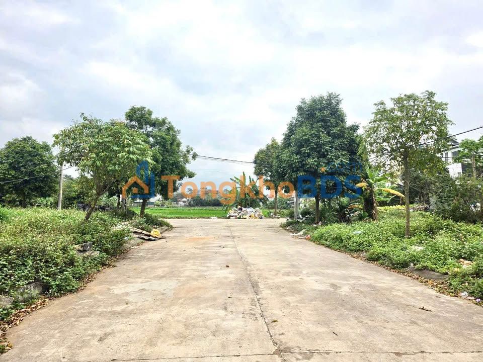 Đất nền Làng Mạ TL302 100m² 1,5 tỷ - Sổ đỏ chính chủ