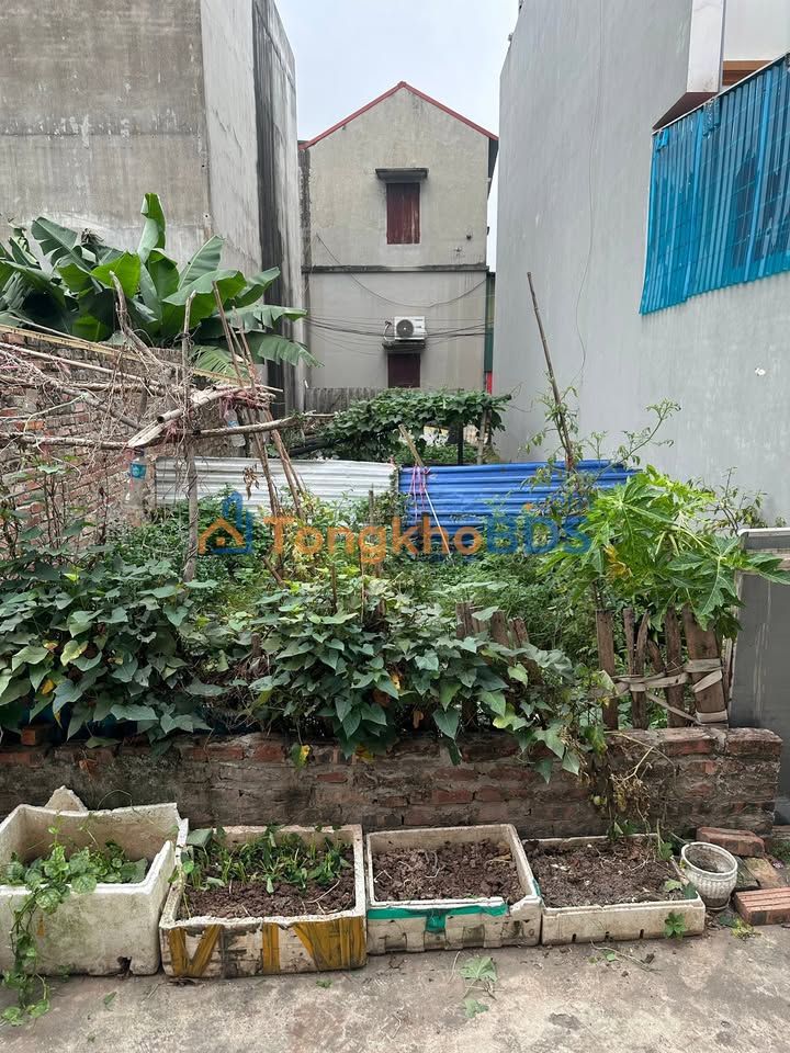 Đất nền Xã Phật Tích 71m² giá 2 tỷ - Sổ đỏ chính chủ