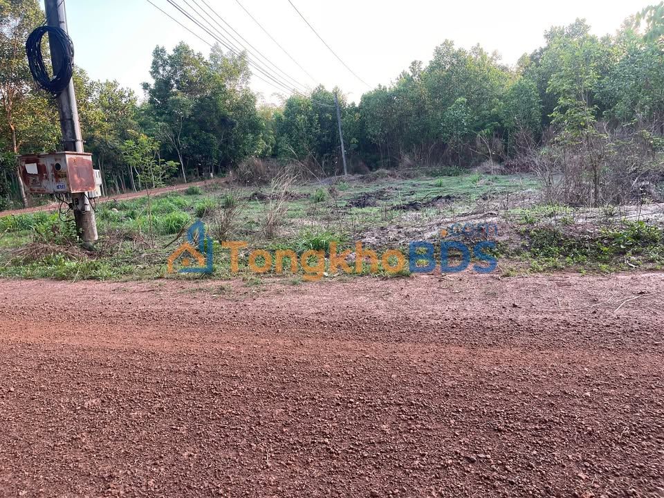 Đất nền Dầu Tiếng Long Hoà 1080m² 1 tỷ Sổ đỏ chính chủ