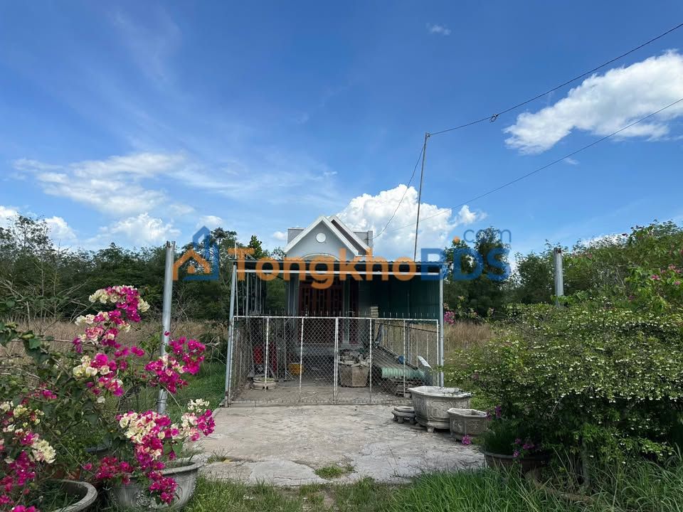 Nhà phố DT 748 Khoái Châu 100m² giá 1.4 tỷ - Mặt tiền kinh doanh