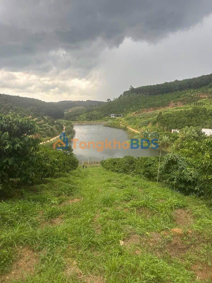 Đất nền Tân Thành Krông Nô 2.520m² 1,5 tỷ - Sổ đỏ chính chủ