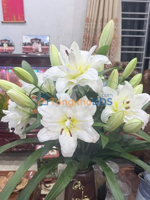 Đất nền Đông Sang Mộc Châu 1,7ha 34 tỷ - Sổ đỏ chính chủ