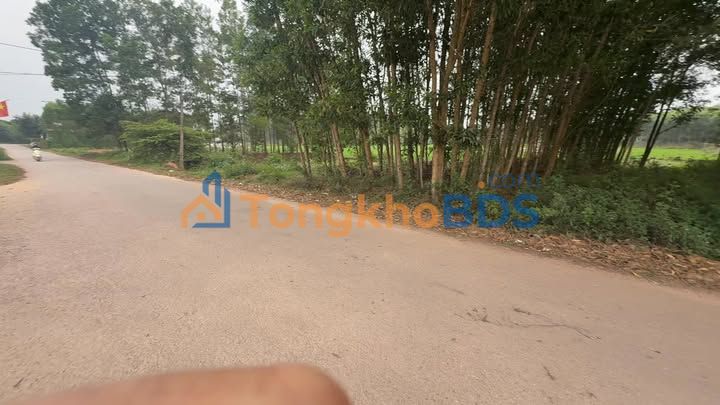 Đất Tân Hiệp Yên Thế 100m² 0.8-0.9 tỷ - Hạ tầng hoàn thiện