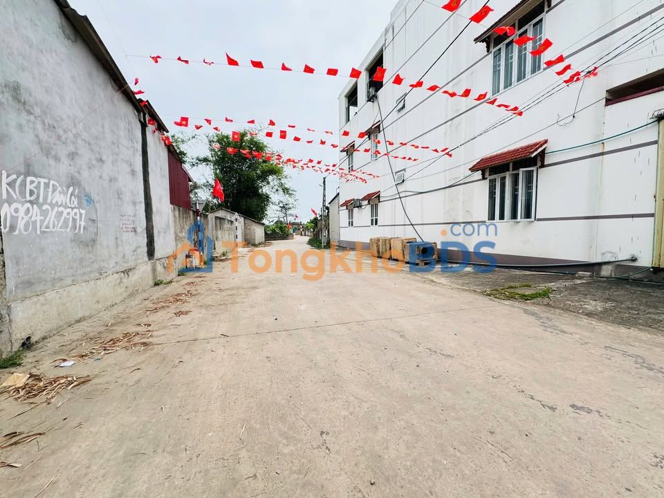 LandProjectSell Bắc Giang TL295 115m² giá 5xx triệu - Đất nền sổ đỏ chính chủ, xây tự do!