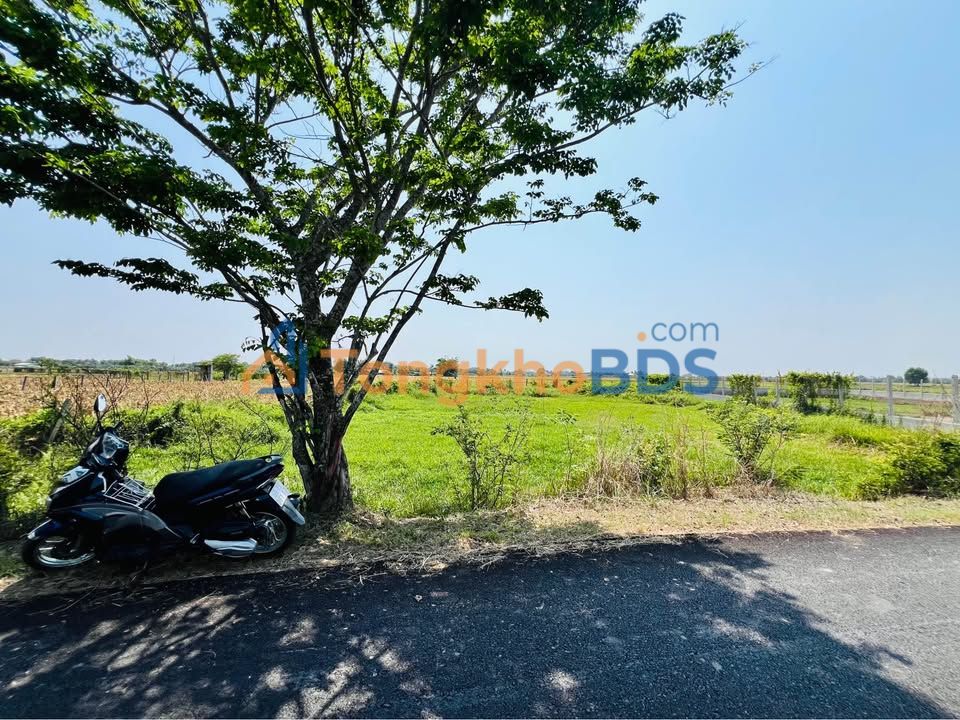 Đất Thái Mỹ Củ Chi 1.100m² 3,2 tỷ - Pháp lý rõ ràng