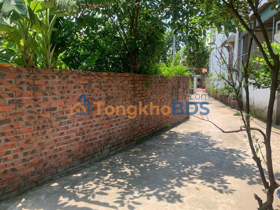 Đất nền Mạo Khê 124m² giá 8xx triệu - Đất thổ cư 100%