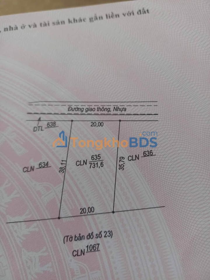 Đất CLN Đại Trạch Bố Trạch 540m² 250 triệu - Đường to ô tô