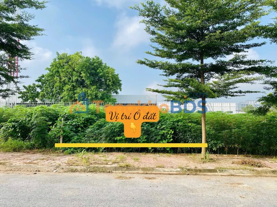 Đất nền Thanh Miếu Việt Trì 76m² 3 tỷ - Đầu tư dài hạn