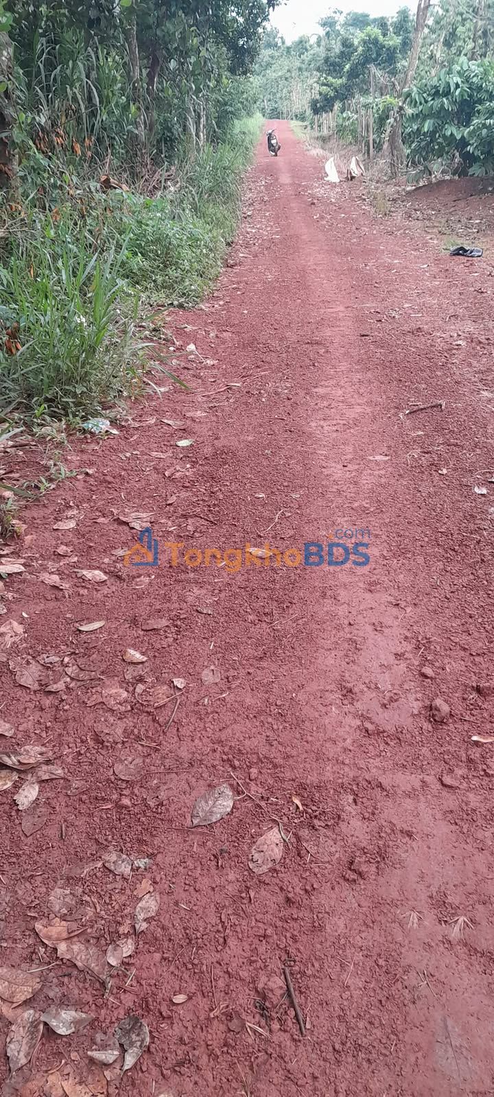 Đất nền Nghĩa Đức Gia Nghĩa 1.261m² 800tr - Giá đầu tư tốt