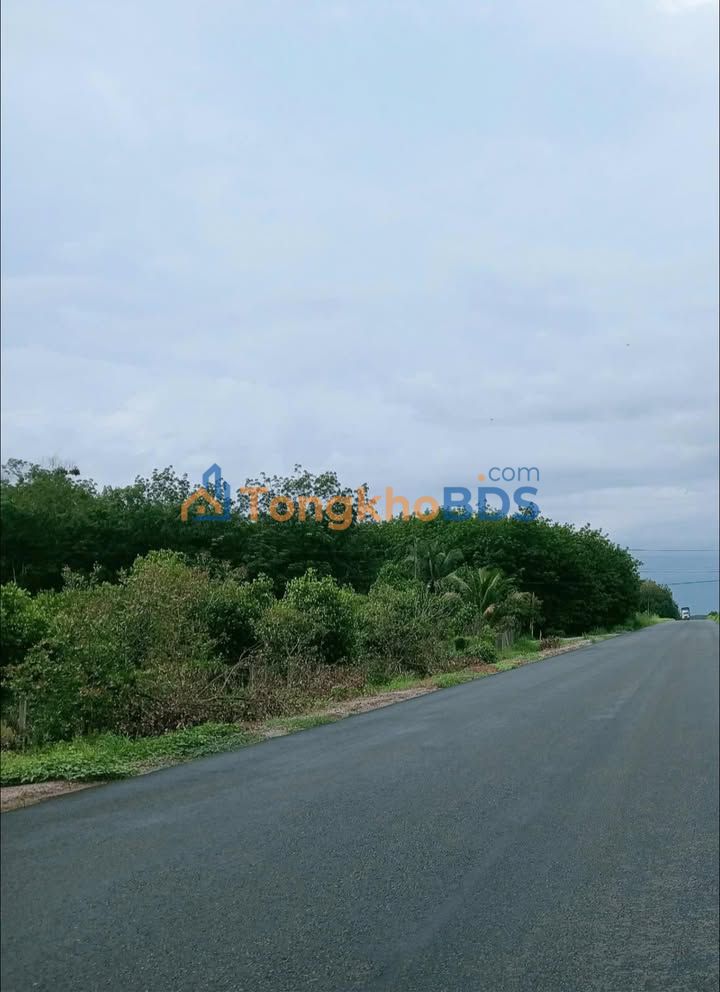 Đất nền Huyện Củ Chi 3,5ha ba mặt tiền - Tiềm năng tăng giá