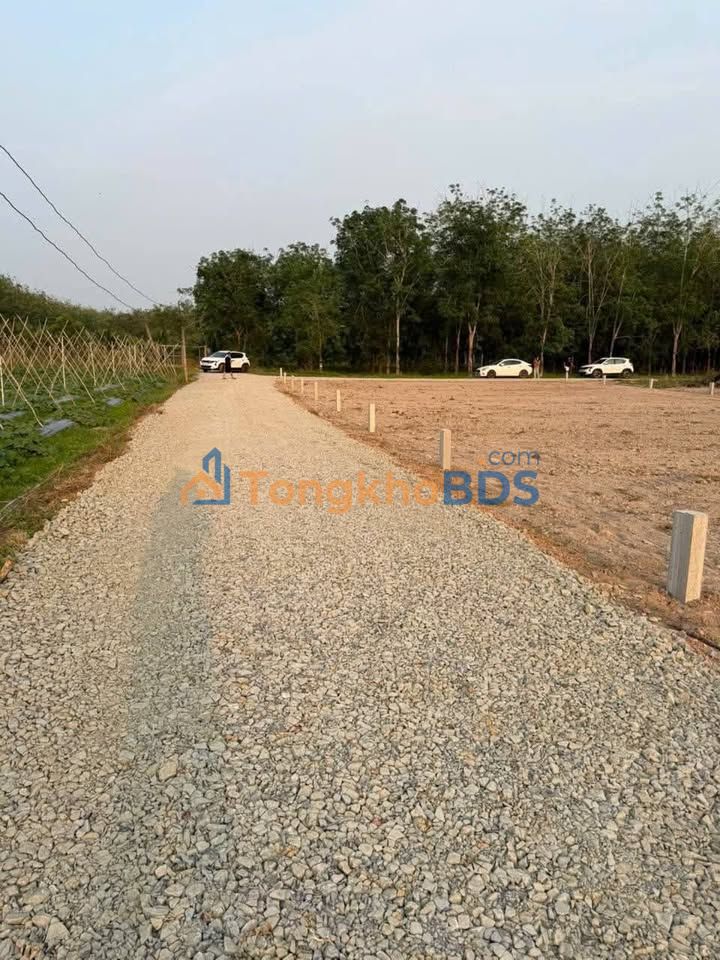 Đất Hảo Đước Tây Ninh 100m² 100 triệu - Giá tốt hiếm có