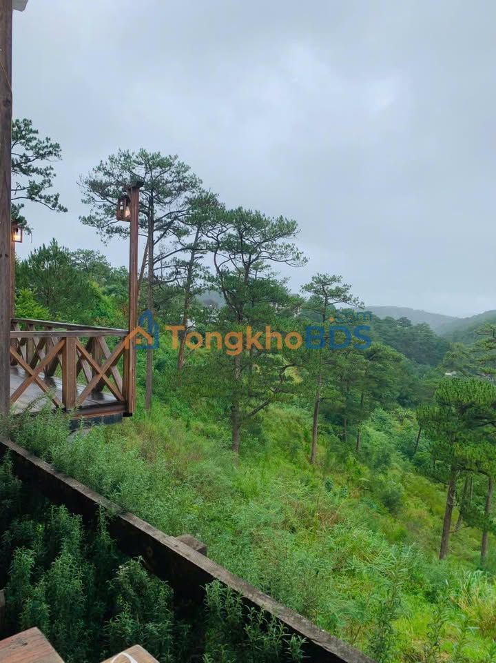 Nhà Gò Vấp Đường số 8 45m² 5.4 tỷ - Chính chủ bán