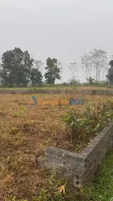 Đất nền Xuân Viên 456m2 200 triệu - Xây dựng tự do