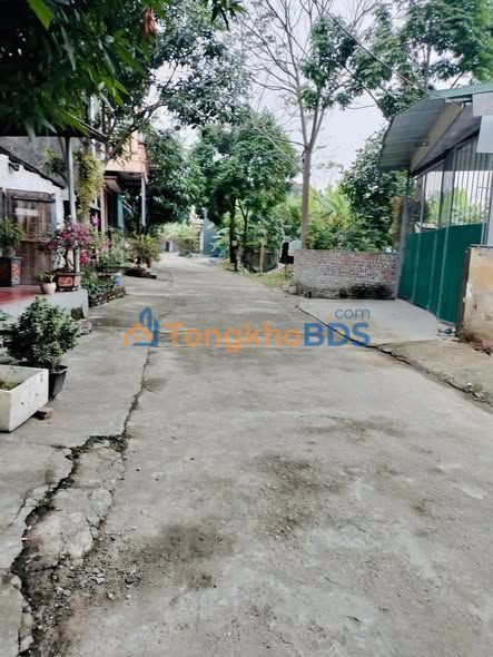 Đất Nền Thanh Miếu - Việt Trì: Sổ Đỏ Full Thổ Cư, Đường 5m Oto Tránh