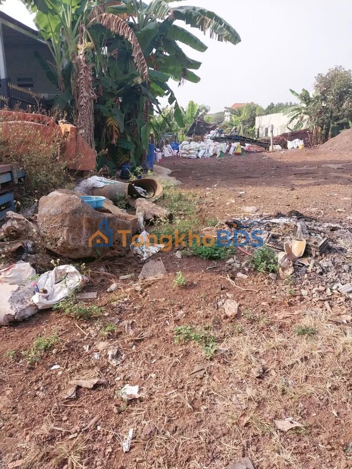 Đất Vĩnh Cửu 192m² Sổ Hồng Thổ Cư - Giá 1.28 Tỷ