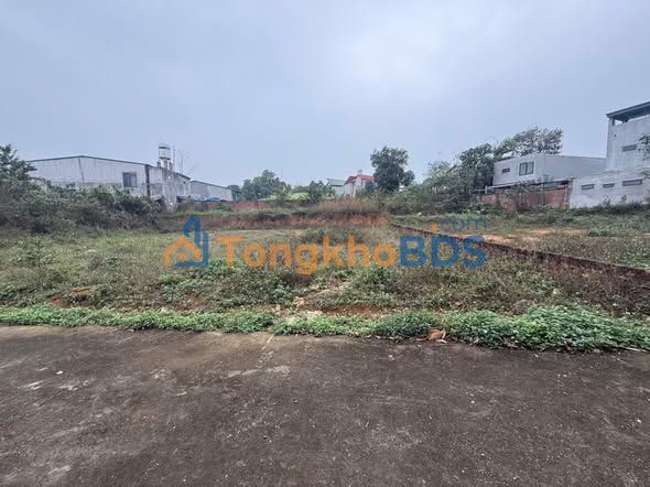 Đất nền Thụy Vân Việt Trì 85m² dưới 1 tỷ - Đường ô tô