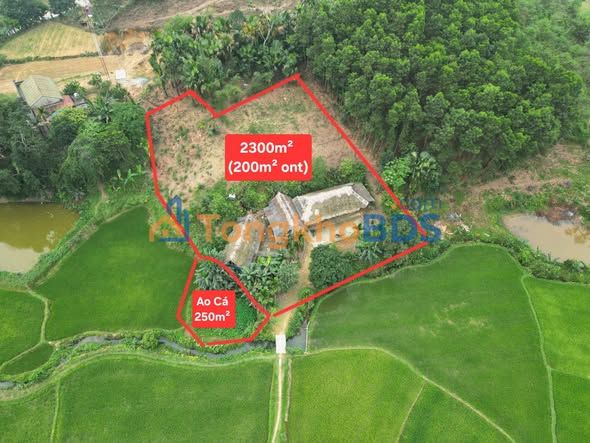 Farm Xuân Thủy Phú Thọ 2.500m² giá 1 tỷ - Đầu tư dài hạn