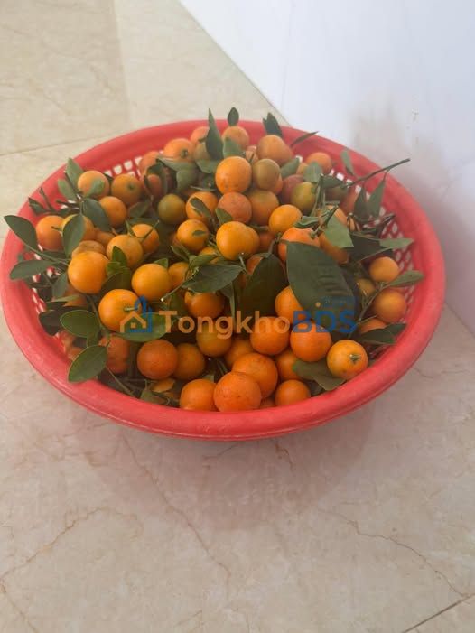 Phòng trọ Quảng Điền Krông A Na 0.7 triệu - Giá tốt hiếm có