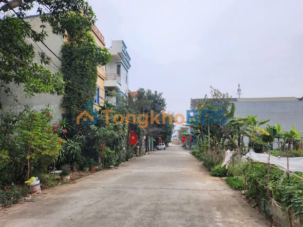 Đất Nền Quán Rùa, Lâm Thao: 100m² Hướng Nam, Giá Tốt Nhất Khu Vực