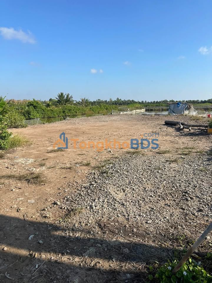 Đất nền P.8 Cà Mau 300m² giá 3xx triệu – Sổ đỏ chính chủ