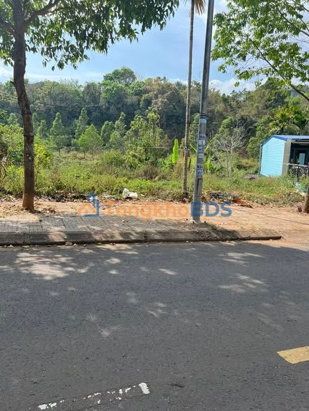 Đất nền Thái Phiên Gia Nghĩa 180m2 1,35 tỷ - Sổ đỏ chính chủ