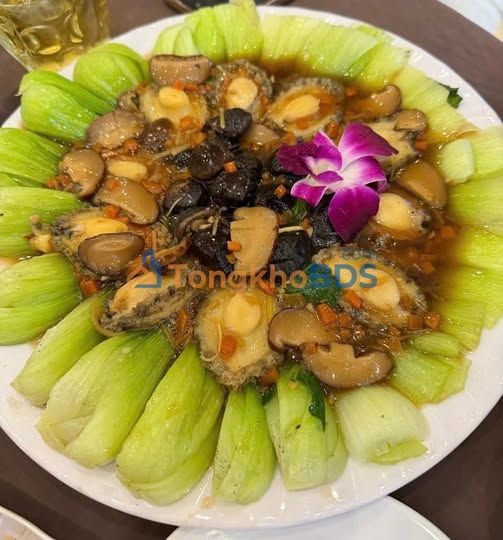 Nhà 240m² Đắk Nông - Sẵn Sàng Ở Ngay, Giá 1.49 Tỷ