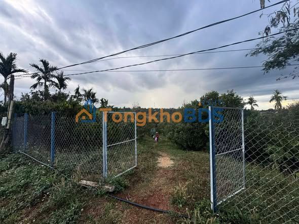 Đất nền Đắk Nia Gia Nghĩa 24x60m giá 1.7 tỷ - Đường to ô tô