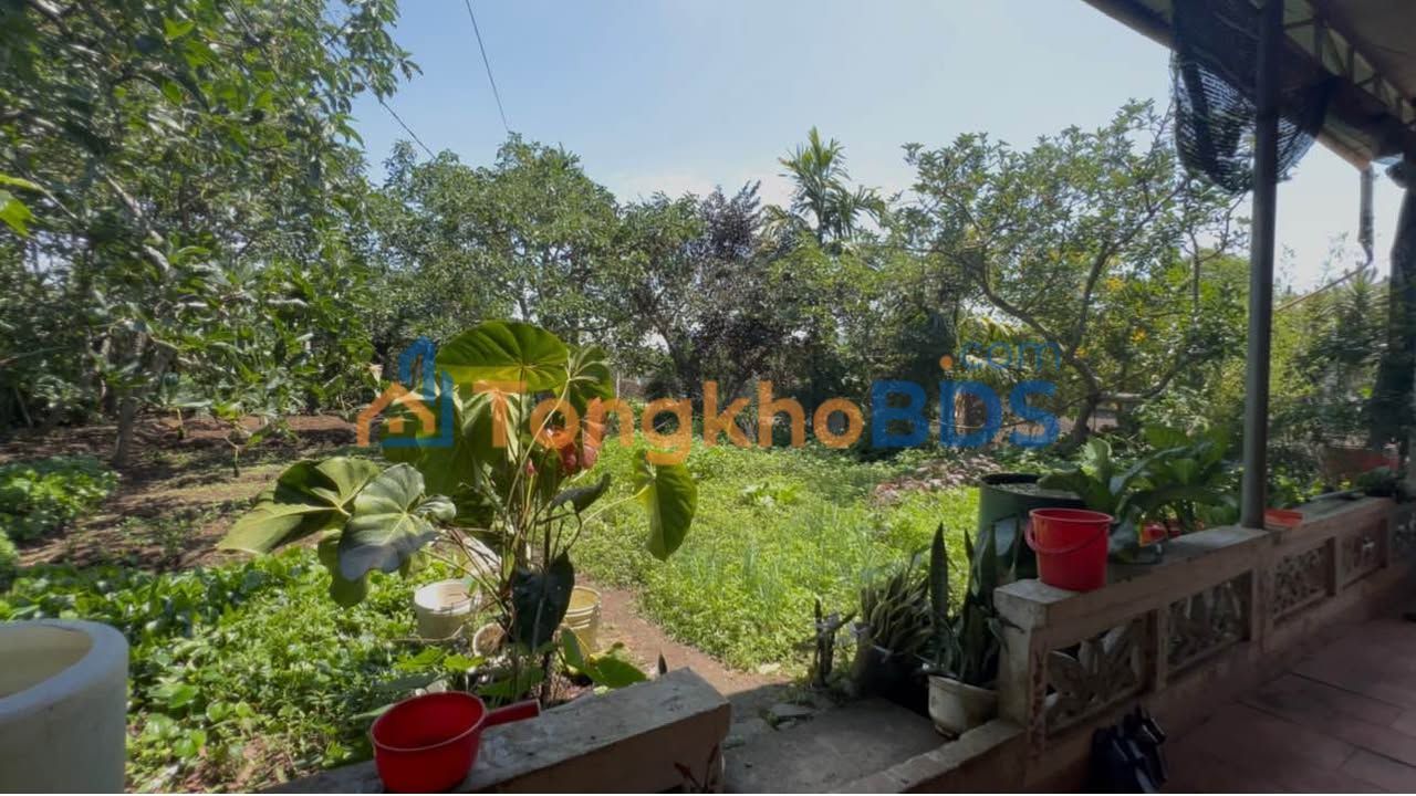Nhà vườn Phường 1 Bảo Lộc 910m² 3.5 tỷ - Chính chủ bán