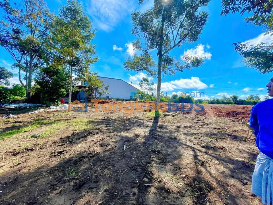 Đất nền Bảo Lộc 490m² giá 3.005 tỷ - Sổ đỏ chính chủ