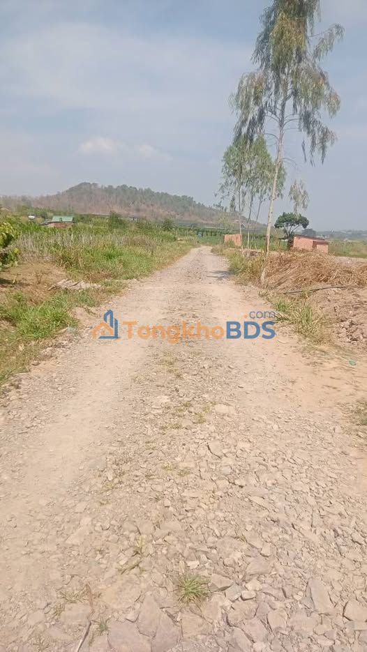 Đất nền Tân Hội Đức Trọng 1080m² 1.86 tỷ - Đường to ô tô