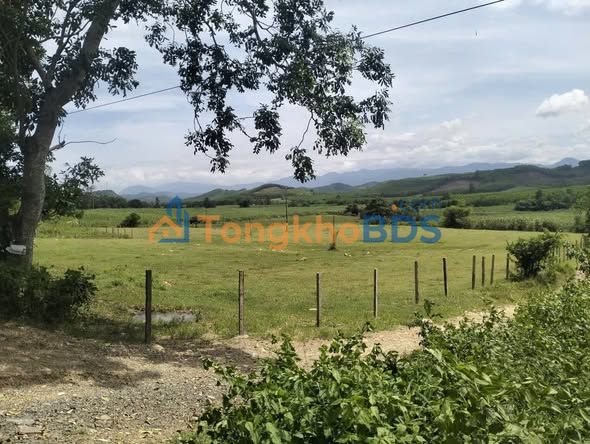 Đất Nền Sông Hinh, Phú Yên 13.600m² - Hai Mặt Tiền QL29, Sẵn Sàng Đầu Tư