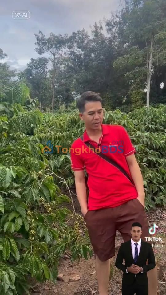 Farm Buôn Kuop Dray Sáp 2,1ha 6,42 tỷ - Đầu tư dài hạn