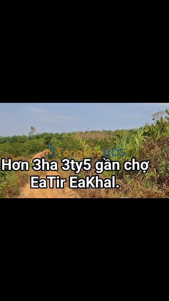 Đất nền Ea Tir Ea Khal 3ha giá 3.5 tỷ - Sổ đỏ chính chủ