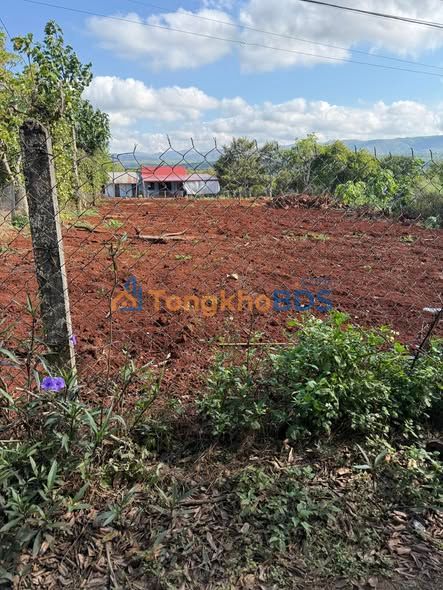 Đất Thôn 7 Ea Hiao 360m² 9 tỷ - Sổ đỏ chính chủ